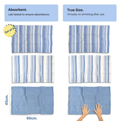 RIGHTSIZE Kitchen Towels, 2 x 1.5 Ft, Indihaus Blue. Pack of 6
